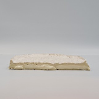 Brie de chèvre St Héray