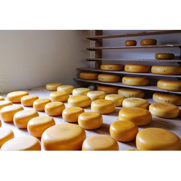 Gouda Tendre Fermier