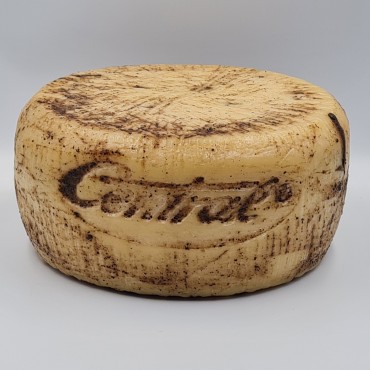 Moliterno à la truffe