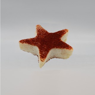 Etoile de fontenille paprika