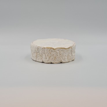 Camembert AOP