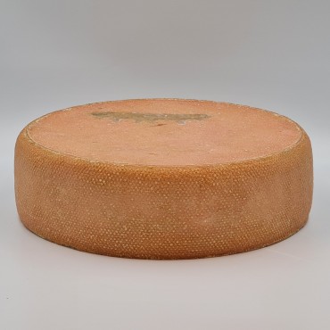 Tilsit lait d'alpage