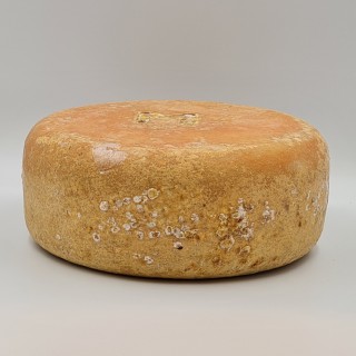 Brebis d'Estive Haute Montagne